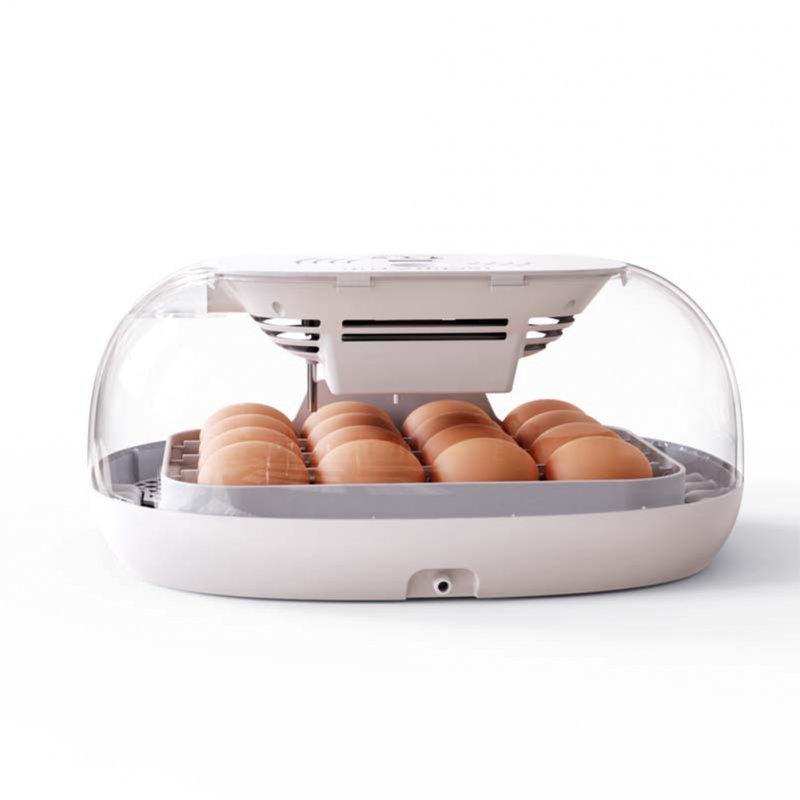 Wholesale 16 Egg Incubator with Automatic Egg Turning, Chicken Egg Incubator with Temperature Control and Automatic Water Adding EU Plug  |   Home Appliances Home Appliances Home Appliances