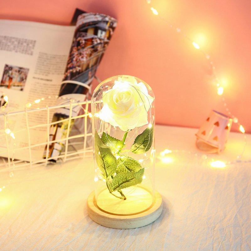 Wholesale Glass Cover Rose Flowers LED Light String Gift Women Girls on Birthday Holiday Christmas Powered by Batteries white  |   Home Decors Home Decors Home Decors