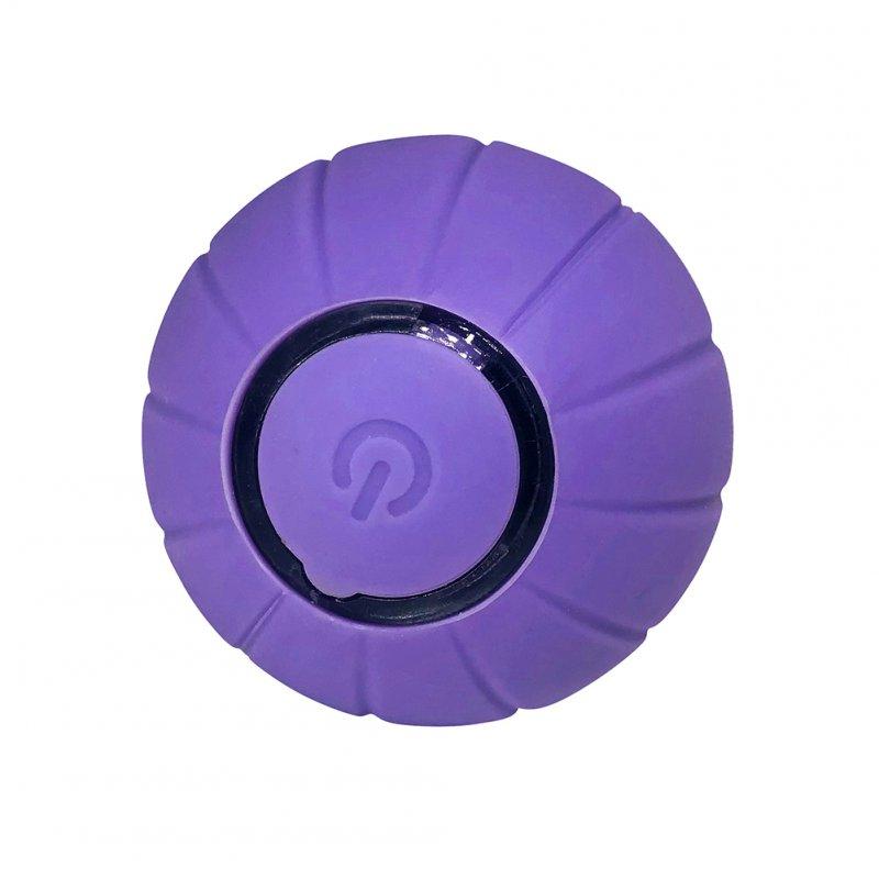 Wholesale Pet Cats Smart Automatic Rolling Ball Bite-resistant Usb Charging Glowing Training Interactive Toys Purple  |   Pet Supplies Home Garden & Tools Pet Supplies