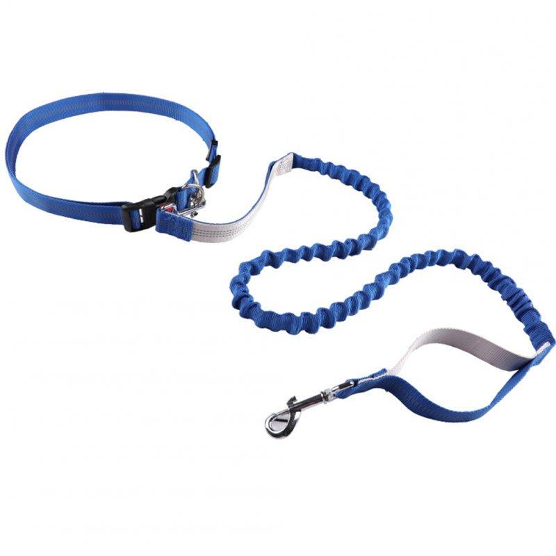 Wholesale Premium Dog Leash Hands Free Length Handle Bungee Leash Adjustable Waist Belt Elastic Bungees Retractable Rope For Walking Hiking Jogging Biking Running blue 2.5mmx140-170cm  |   Pet Supplies Home Garden & Tools Pet Supplies