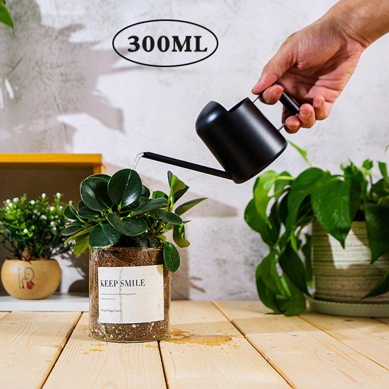 Wholesale Watering Can For Indoor Plants Comfortable Handle Long Spout Water Can Capacity 300ML Spouted Watering Kettle black  |   Garden & Lawn Garden & Lawn Black